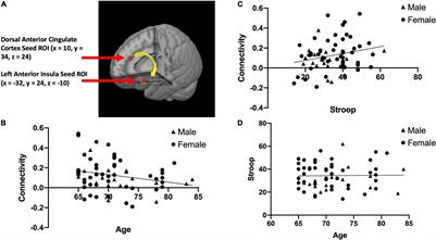 Functional Brain Connectivity and Inhibitory Control in Older Adults: A Preliminary Study